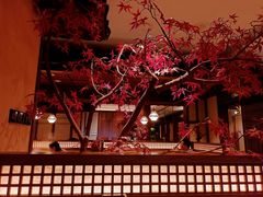 -揽季锅物会.福建黄鱼.海鲜姿造(五四路店)