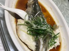 -濠景渔港(汇通店)