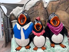 -海合安成都极地海洋公园