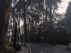 -缙云山景区