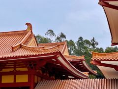 -三水森林公园