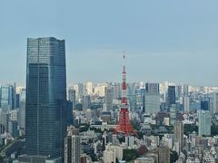 -六本木新城展望台(东京城市景观)