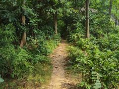 -广州市白云山风景名胜区