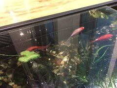 -红糖水都·女生特炖·中式滋补炖(北辰店)