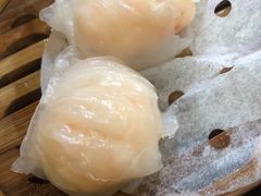 -蓝冰洋