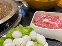 -一斗火锅·招财羊毛肚(北温泉九号店)