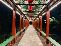 -迎泽公园