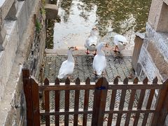 -苏州碑刻博物馆