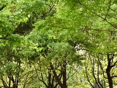 -月湖风景区
