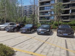 -宁波甬诚婚车(新典路店)