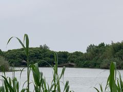 -沙家浜风景区