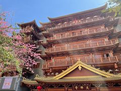 -大佛寺高级素食自助餐厅