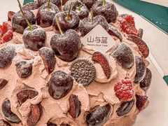 -山与蓝·轻糖鲜果蛋糕(勒泰店)