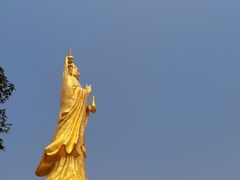 -广州莲花山旅游区