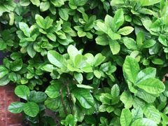 -湘邻呷铺·田园家宴(汉基广场店)