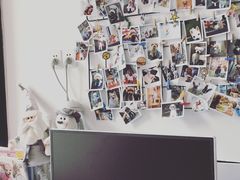 -Oh My Dog宠物沙龙(伊珊娜皮毛护理店)