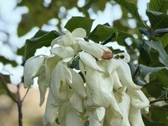 -云溪植物园