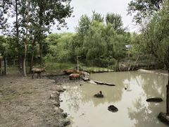 -溱湖国家湿地公园