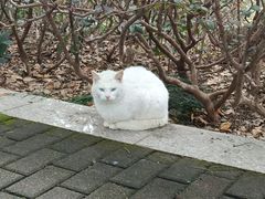 -苏州河梦清园环保主题公园