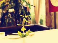 -竹雨堂创意中国菜(裕华店)