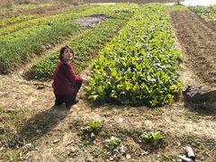 -翠茗农庄土菜馆(天目湖店)