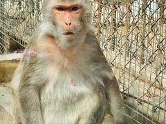 -五龙山野生动物王国