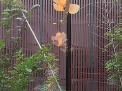 -唐猫庭院·千年陕菜(大唐不夜城店)