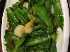 -荷花泰菜(东方新天地店)