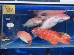 -鹊华居·地道鲁菜·海鲜·融合味(大明湖店)