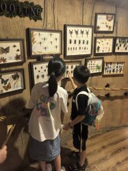 点击看大图 -Zoolung Zoolung动物主题公园(海信广场店)