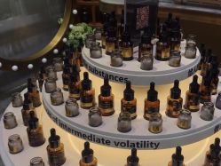 -香遇沙龙香水·调香·团建