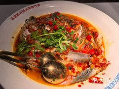 -坛宗剁椒鱼头(河西王府井店)