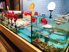 水产区-日进一片海.生腌海鲜火锅.宵夜烧烤(三里屯总店)