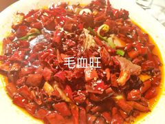 -初蓉丨遇见新川菜(亲贤街荣耀店)