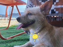 -西涌国际滨海旅游区