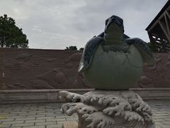 -广东惠东海龟国家级自然保护区