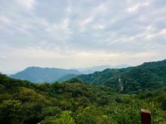 -大岭沟猕猴桃谷风景区
