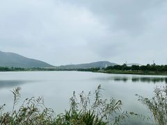 -南京市无想山景区