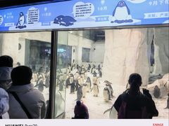 -大连圣亚海洋世界