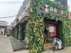 -糯米喵星人总部直营旗舰店·猫舍·幼猫出售