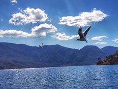 -丽江泸沽湖景区