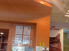 -瑞派申生动物医院·24H夜诊·国际动物医疗中心·骨外科(吴中路店)