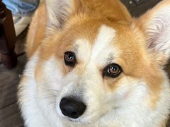 -肥朵食堂(带梦胡同店)