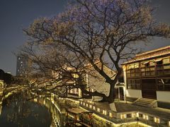-青果巷历史文化街区