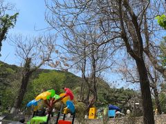 -燕塞湖鸟语林景区