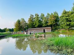-宁波杭州湾国家湿地公园