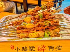 -福苗小骆驼烧烤(莲湖路店)