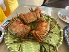 -芸海阁·农家私房菜(沙家浜景区出口店)