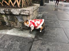-熊猫邮局(少城店)
