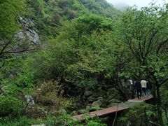 -秦岭终南山世界地质公园翠华山景区